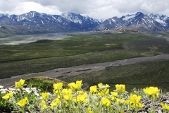 Denali State Park