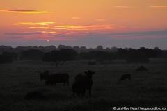 extremadura26_04_11