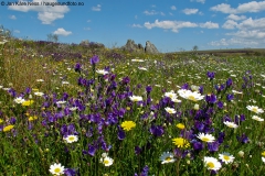 extremadura46_04_10