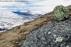 hardangervidda02_05_16